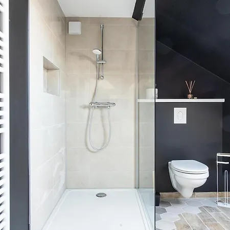 Les Coulisses - Duplex Au Centre - Parking Prive Apartment Colmar